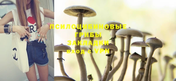 дурь Алексин