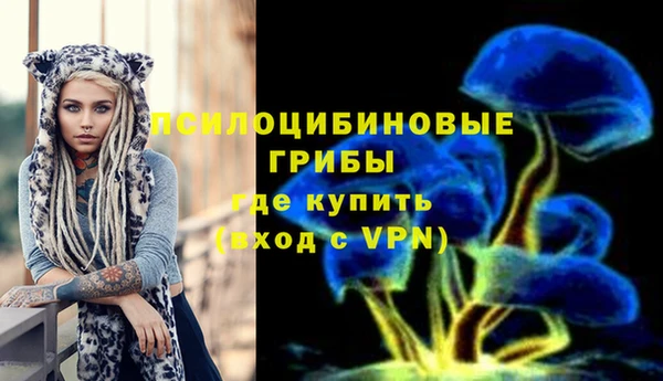 дурь Алексин