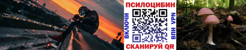 продажа наркотиков  Дзержинск  Галлюциногенные грибы Magic Shrooms 